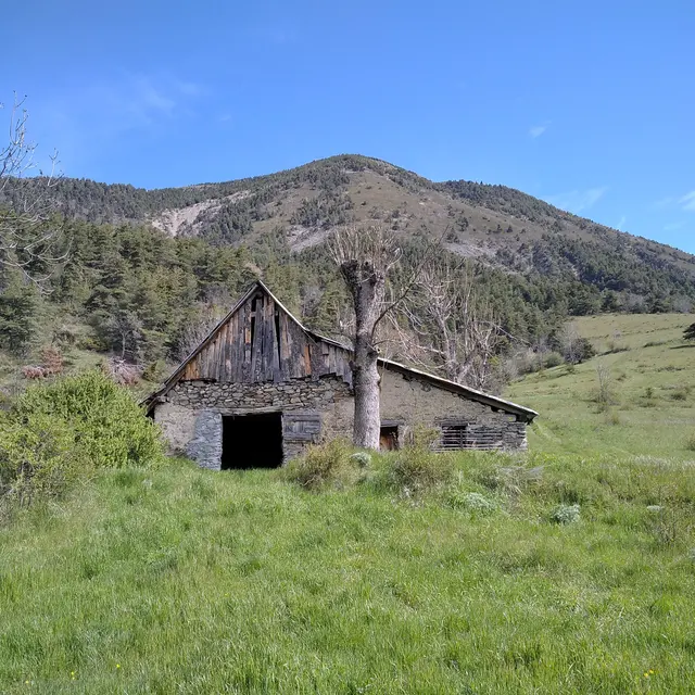 Jean Médou (Arboretum du Cubertin)