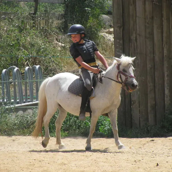 Petite ferme et promenade à poney_Vence
