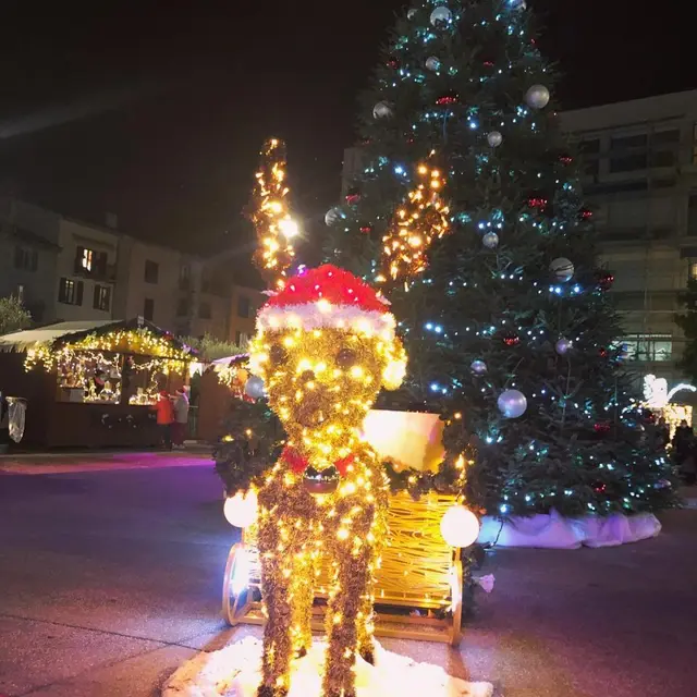 18 décembre :Cirque, Boum..._Vence