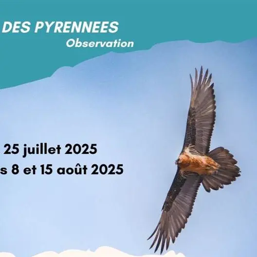 Rencontre avec les rapaces_Auzat