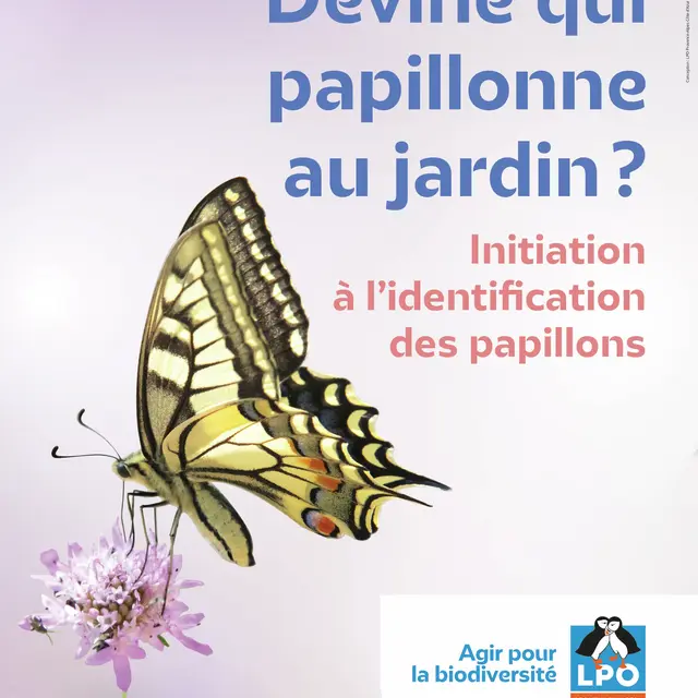 Sortie naturaliste 