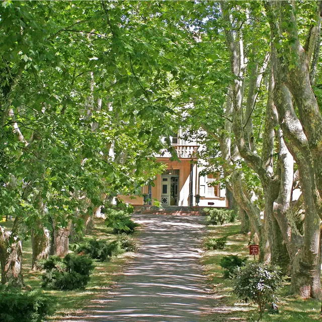 Chateau des Garcinieres