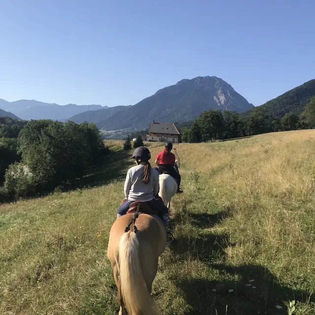 Balade au cœur des bauges