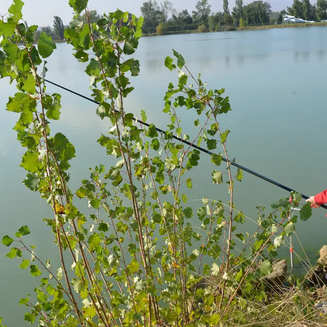 Atelier pêche famille_Beaumont-de-Lomagne