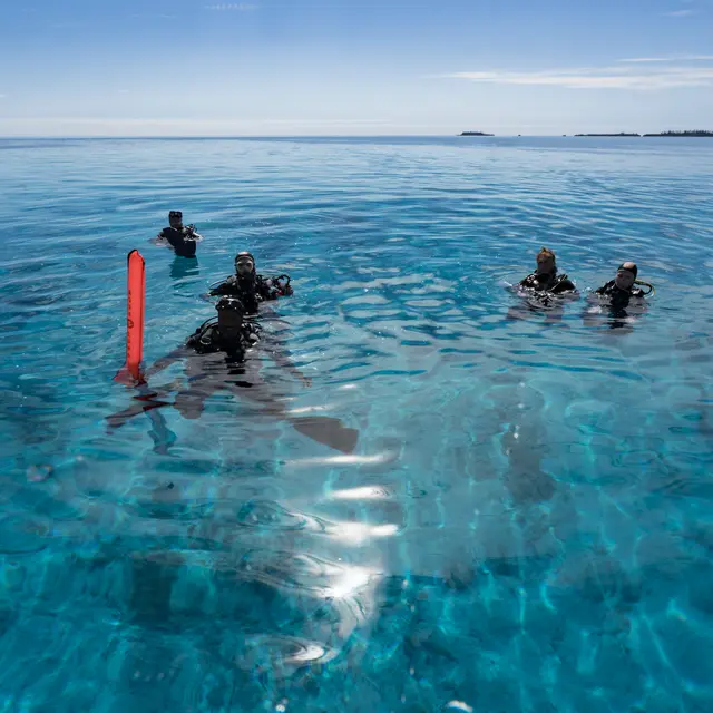 Retour en surface - Kunie Scuba Center