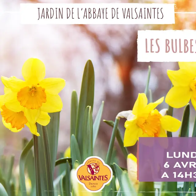 Les bulbes de Valsaintes_Simiane-la-Rotonde