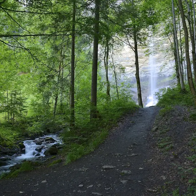 La cascade du Dard