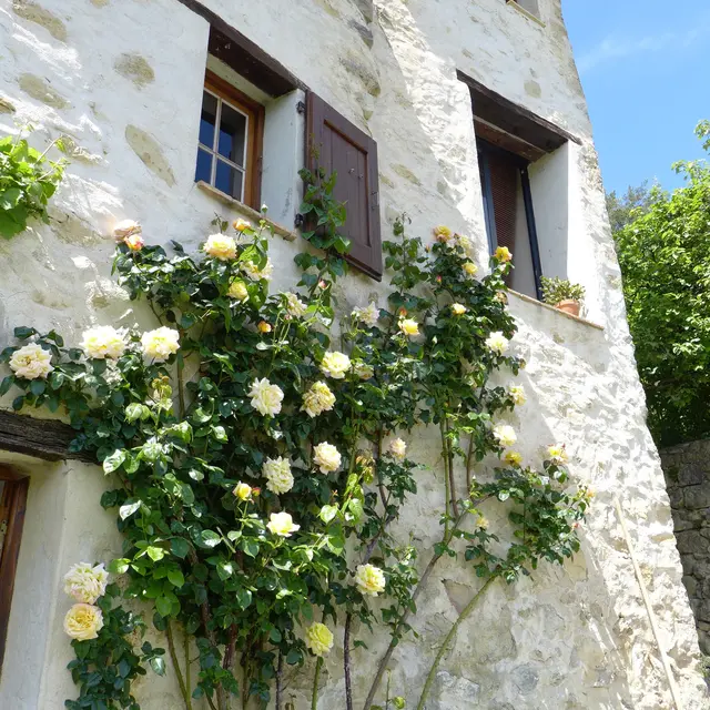 Chambre d'hôte le Chaméléon