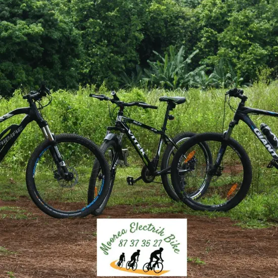 Moorea Electrik Bike - Tahiti Tourisme