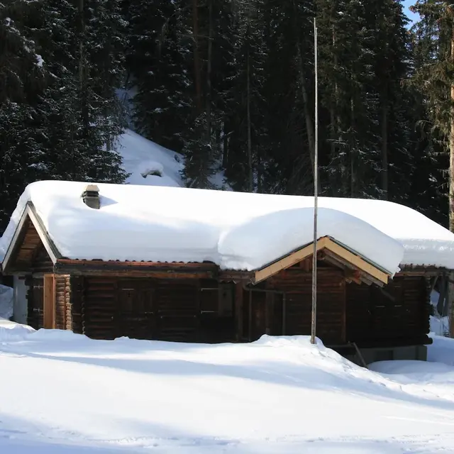 La Teppe du Seudzay_Val de Bagnes