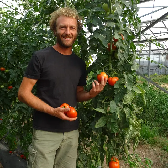 La campagne St Augustin