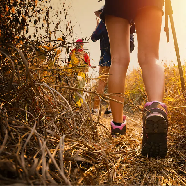 33ème Randonnée Campagnarde des Godelons_Saint-Martin-Lestra