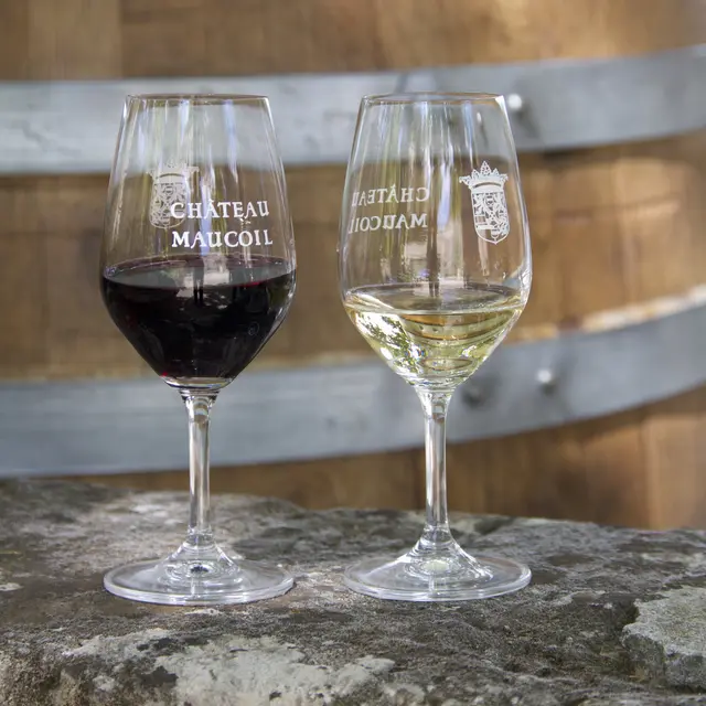 Atelier initiation à la dégustation