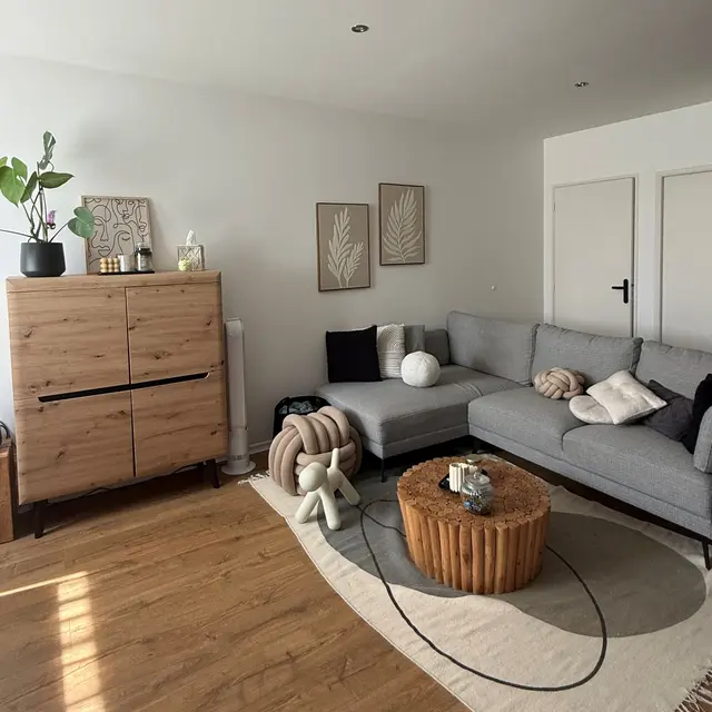 Charmants Duplex_Roanne