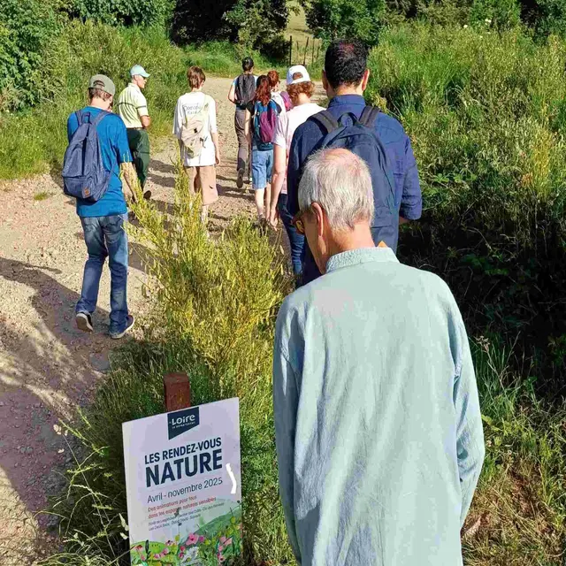 Les rendez-vous nature : Ma rando-quiz_Rochetaillée