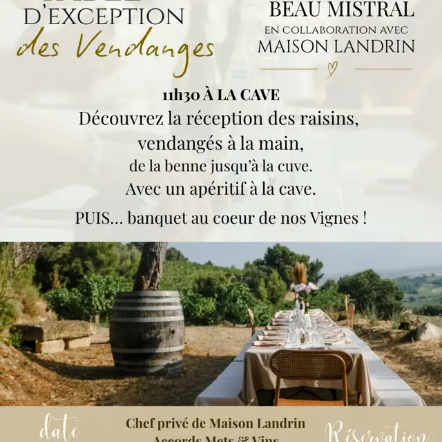 La Table d'Exception des vendanges - Domaine Beau Mistral_Rasteau