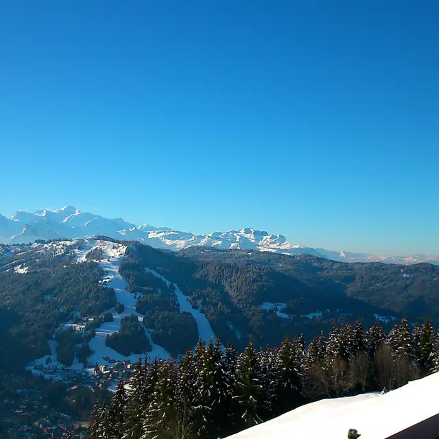 Belvédère