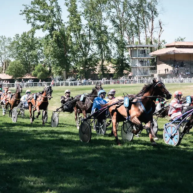 Visite guidée d'un hippodrome_Le Pontet