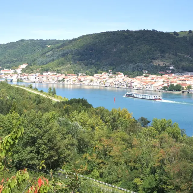 Les hauts du Rhône