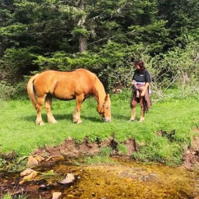 Le Ranch de Madres