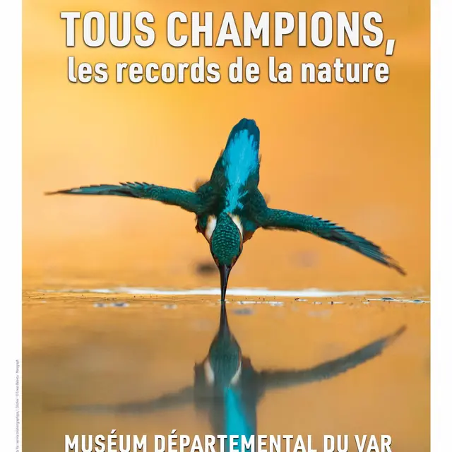 2024 06 27 EXPO_Muséum_Tous champions, les records de la nature