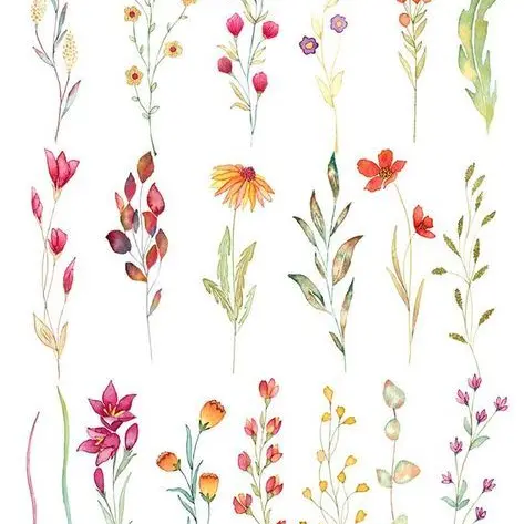Visite du Jardin de Simples_Saint-Jeures