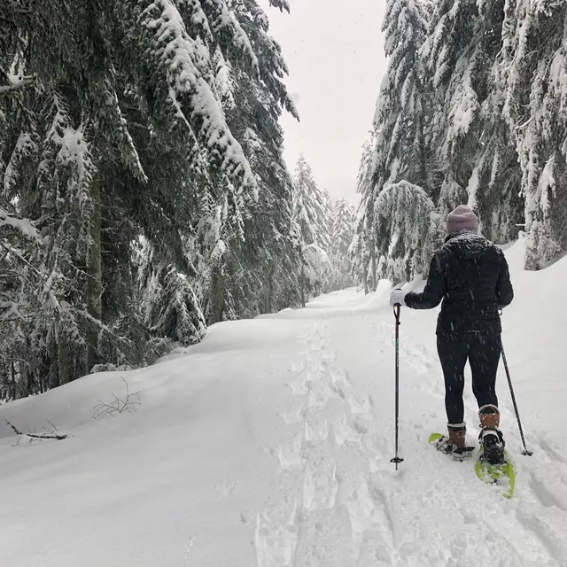 Circuit raquette Col de la Loge