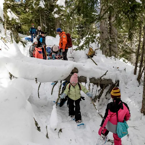 Sortie raquettes famille : petits Lapons_Combloux