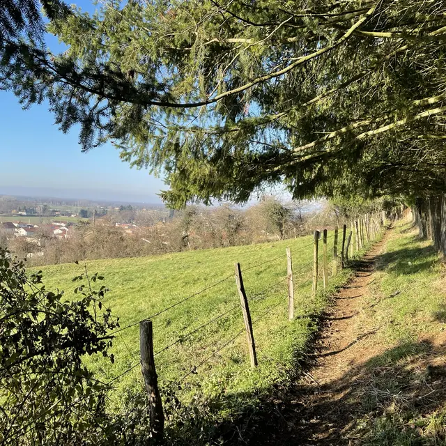 Sentier La Montagne par les Granges_Bellegarde-en-Forez
