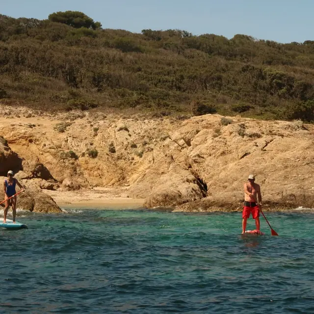 Paddle Tour