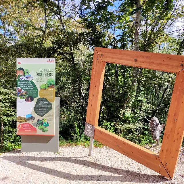 Site de Dinoplagne