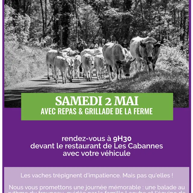 Petite transhumance avec La Maison Lacube_Les Cabannes