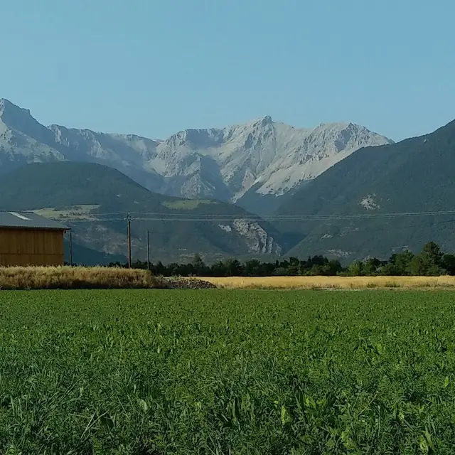 La ferme de Meyssirat