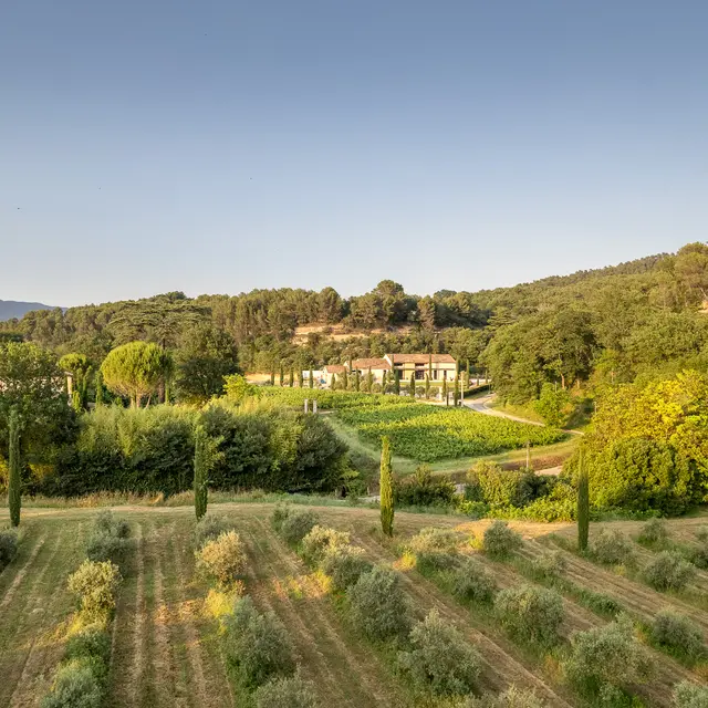 Moulin à Huile & Domaine Bastide du Laval_Cadenet