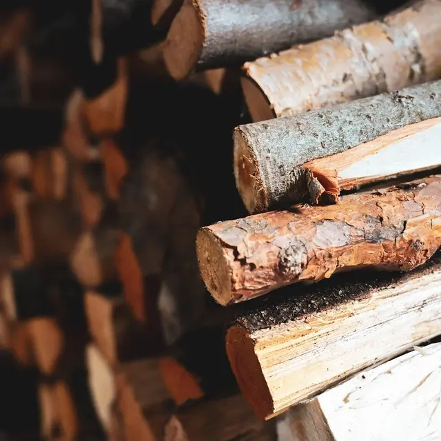 Construction de cabane_Arcon