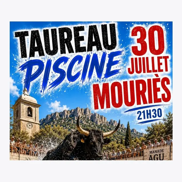 Taureau piscine à Mouriès 30.07.26