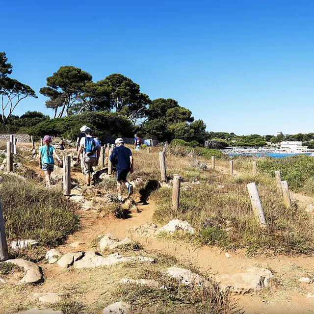Sorties naturalistes et géologiques_Antibes