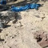 Les fouilles au chateau d'Hyeres - Visite commentées -JEP 2025_Hyères