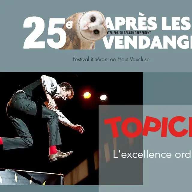 Spectacle de Topick- Festival Après les Vendanges_Entrechaux