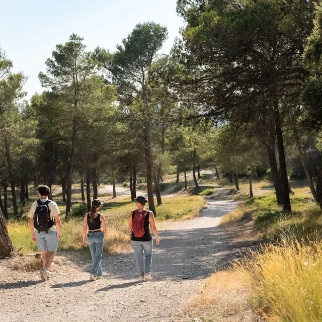 A04 Balade & Découverte - La Parisienne_Velleron