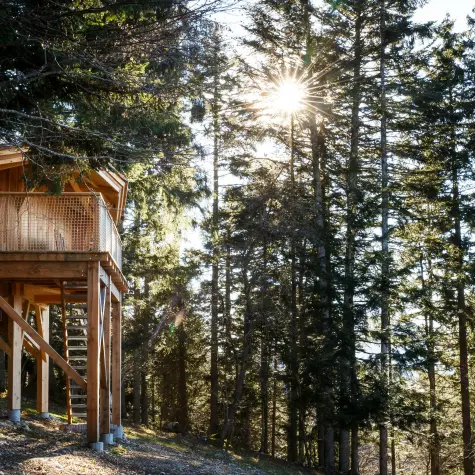 Cabane 