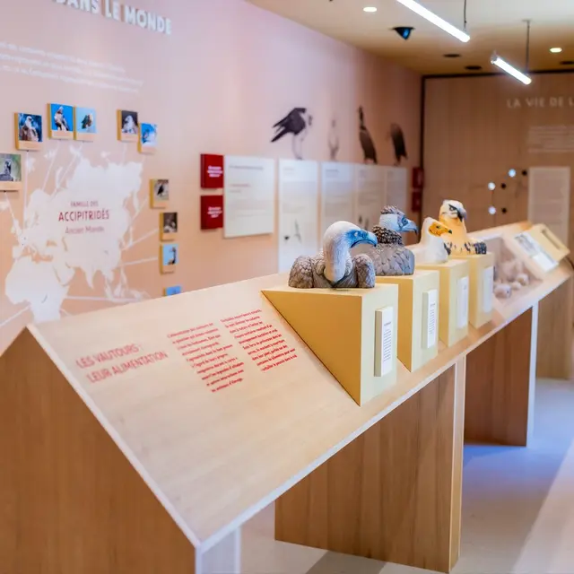 Maison des Vautours_Rémuzat