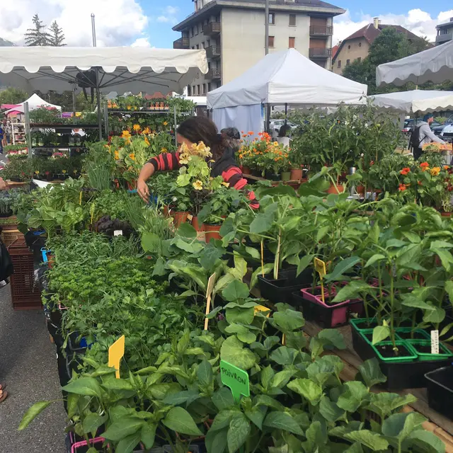 Foire aux plants de Barcelonnette