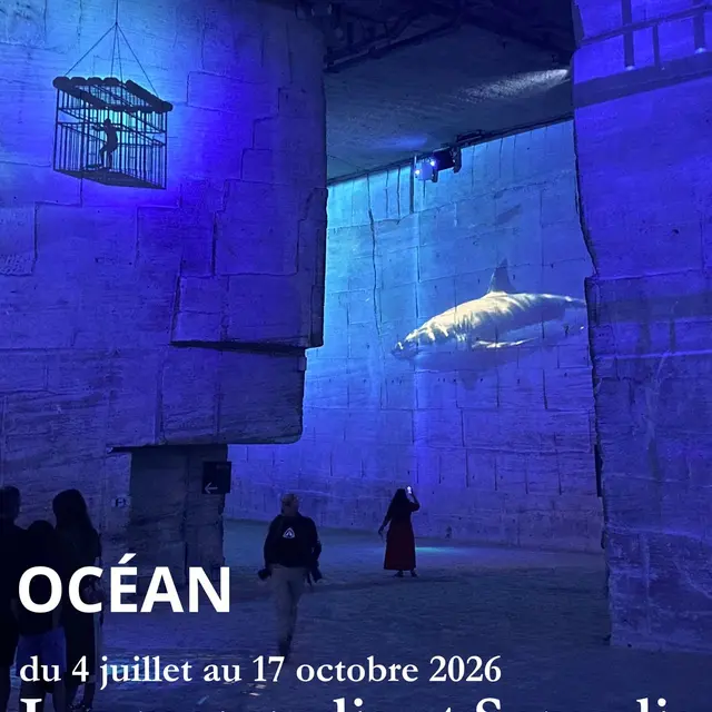 Carrières-des-Lumières : Océan, immersion dans le monde sous-marin_Les Baux-de-Provence