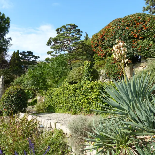 Jardin Zen E. Borja