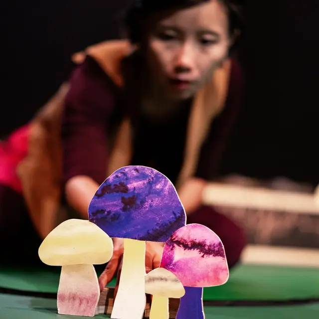 Spectacle musical illustré : Le silence des champignons_Queige