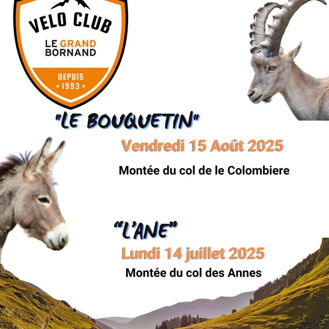 Montée cycliste L'âne_Le Grand-Bornand