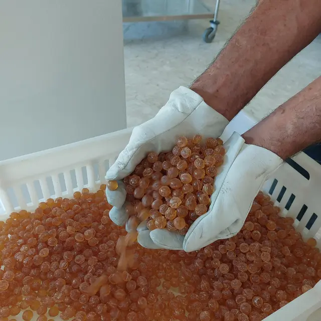 confiserie des 3 ours_Saint-Jean-Saint-Nicolas