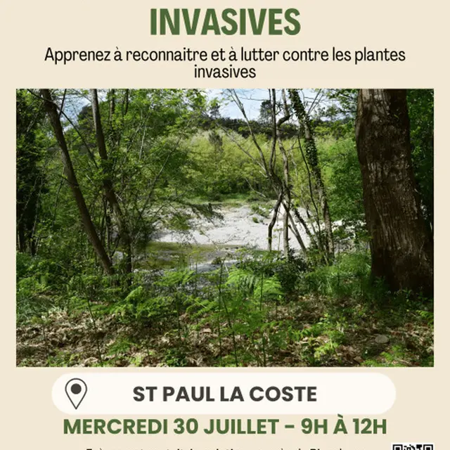 La Chasse aux plantes invasives
