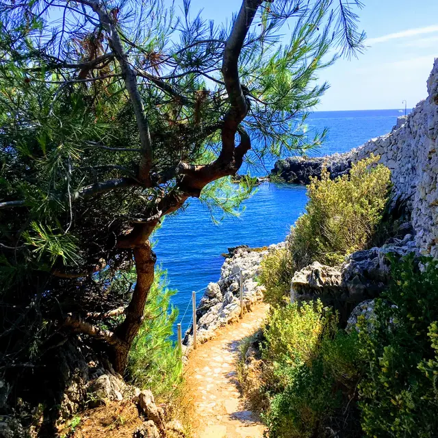 Sentier du littoral au cap d'Antibes (Tirepoil)_Antibes